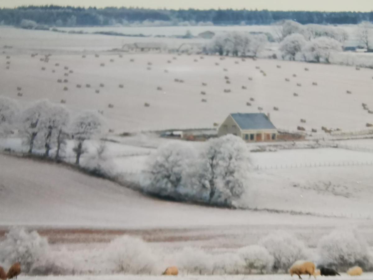 Hillhaven Bed &Breakfast Bed & Breakfast Fortrose Luaran gambar